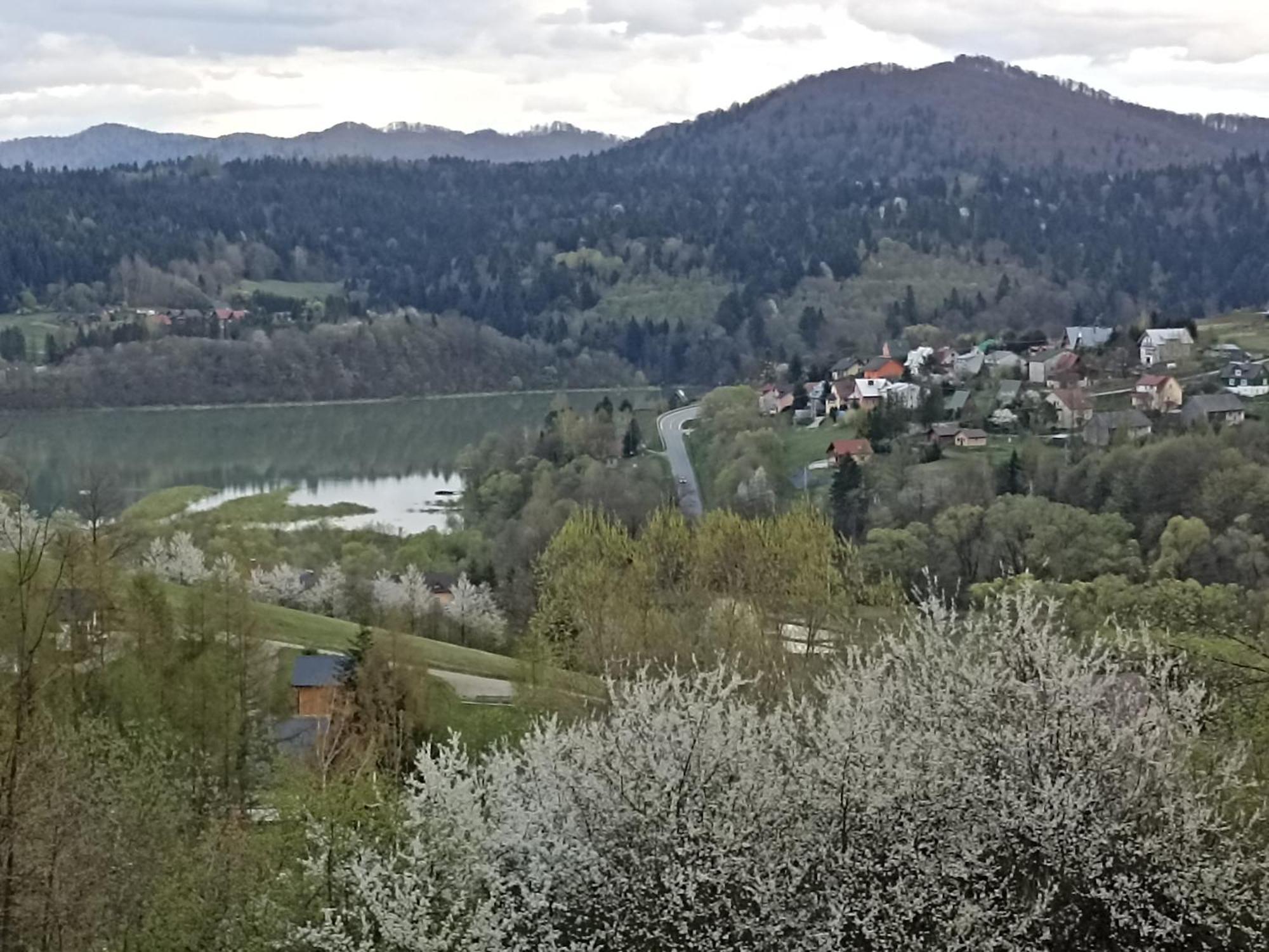 Apartamenty i domki Wolkowyja Rum bild